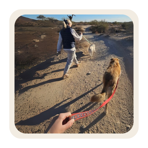 Social enrichment
