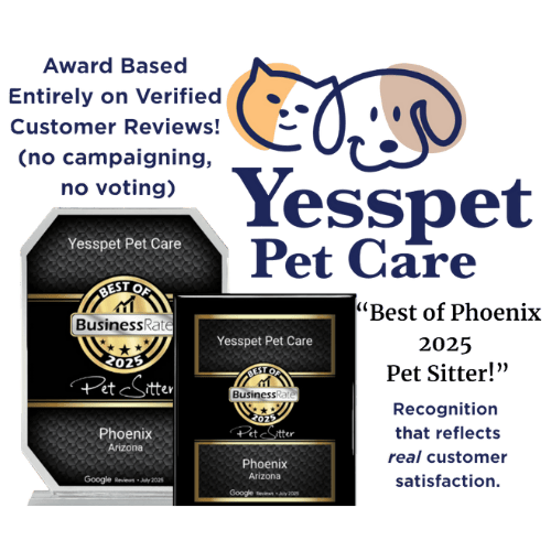 Yesspet awards