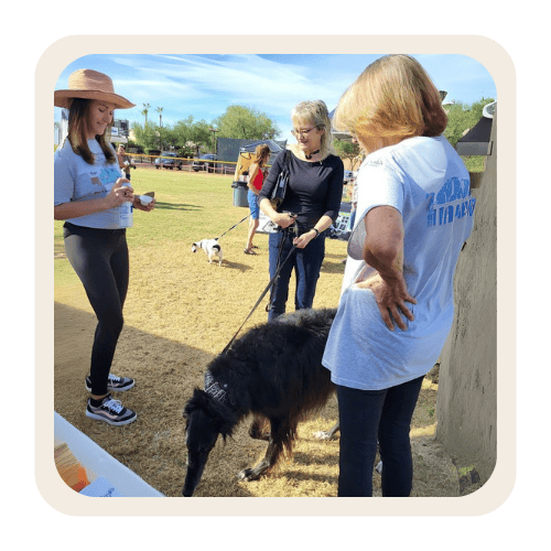 Pet sitter with a dog