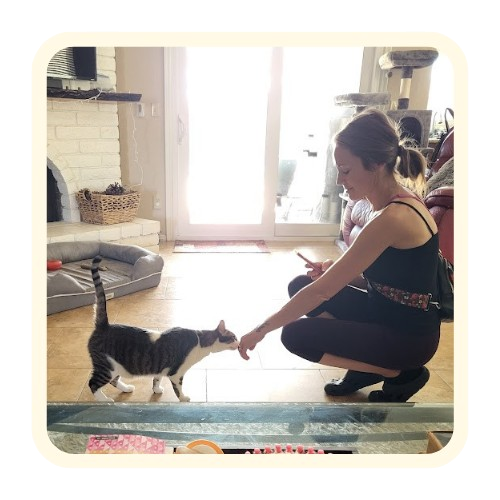 Pet enjoying care