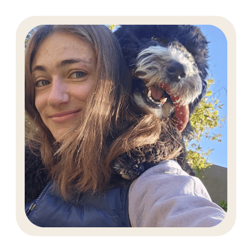 Happy dog with sitter